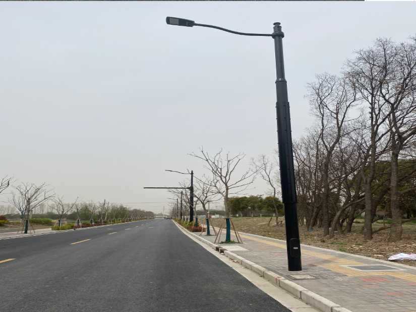 洛扎县上海综合杆 太阳能路灯工程